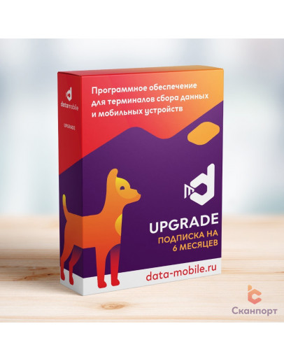 DataMobile Upgrade – подписка на 6 месяцев